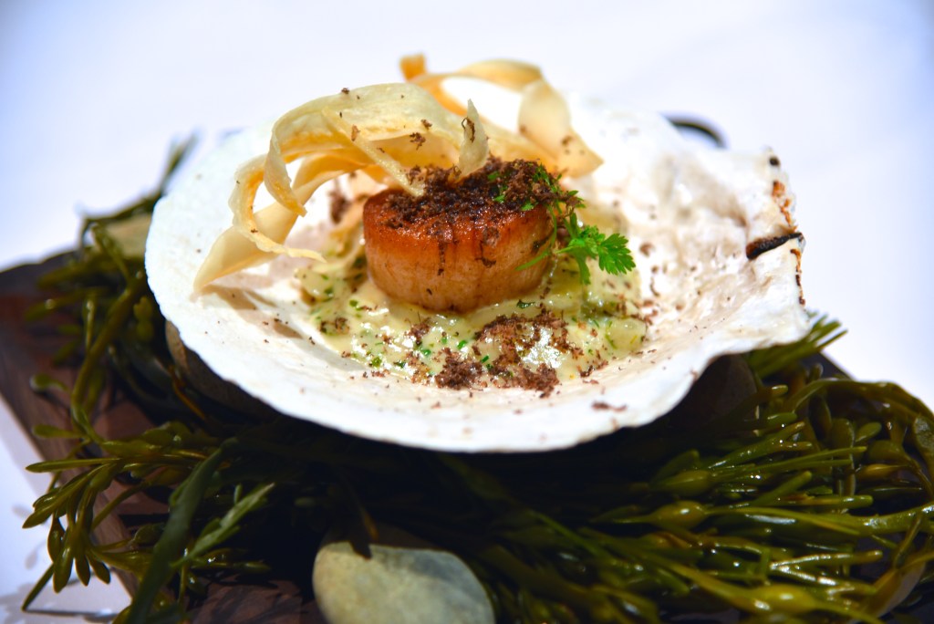 Top Reasons to Choose Day Boat Scallops for Your Next Meal