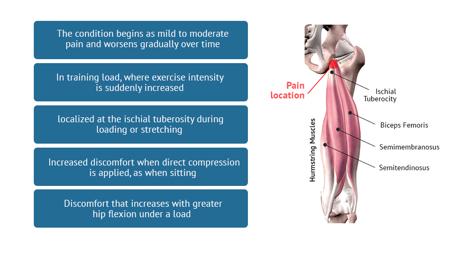 Why Are Todays Sore Hams So Dry？ Common Causes Explained