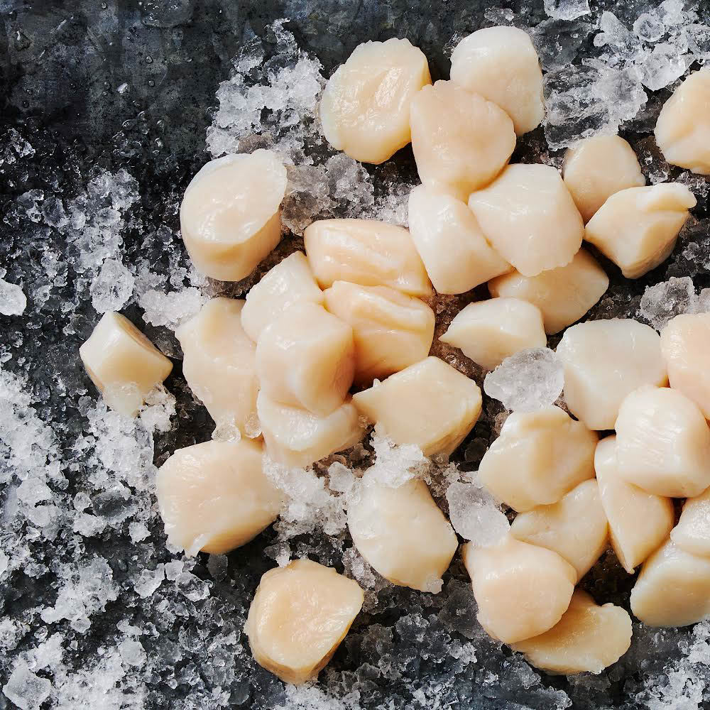 Top Reasons to Choose Day Boat Scallops for Your Next Meal