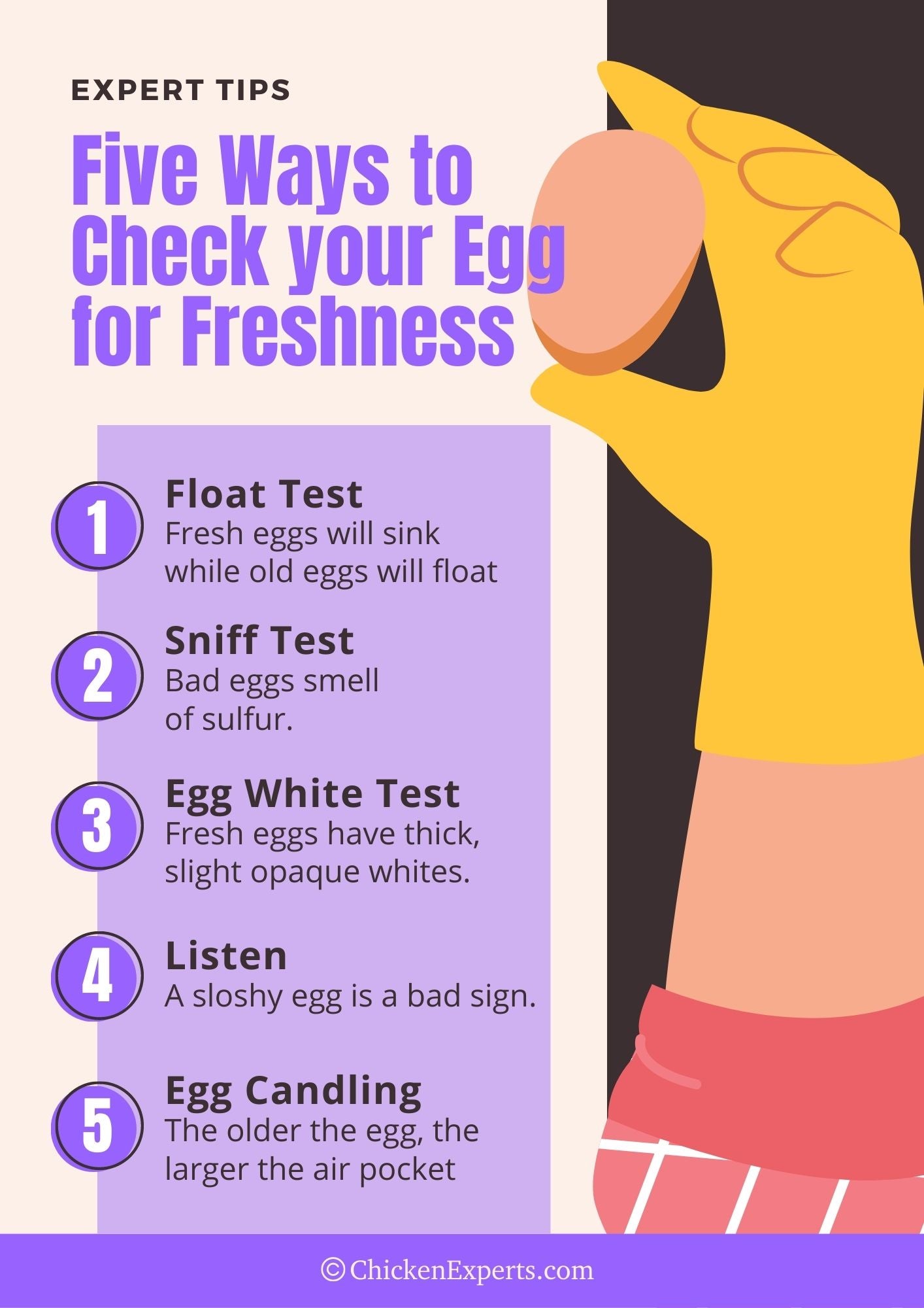 Should You Refrigerate Chicken Eggs？ Key Facts Explained