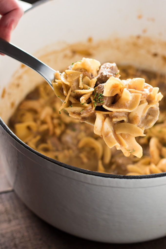 Classic French Onion Beef Noodle Soup Recipe for Cozy Nights