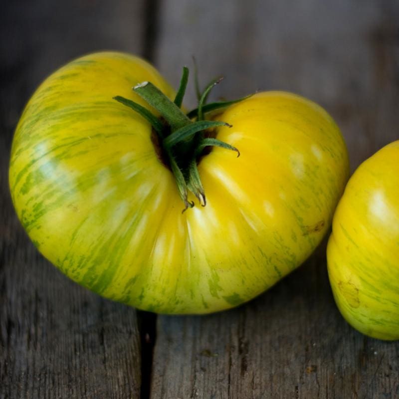 How to Grow and Use Pork Chop Tomatoes in Your Garden and Kitchen