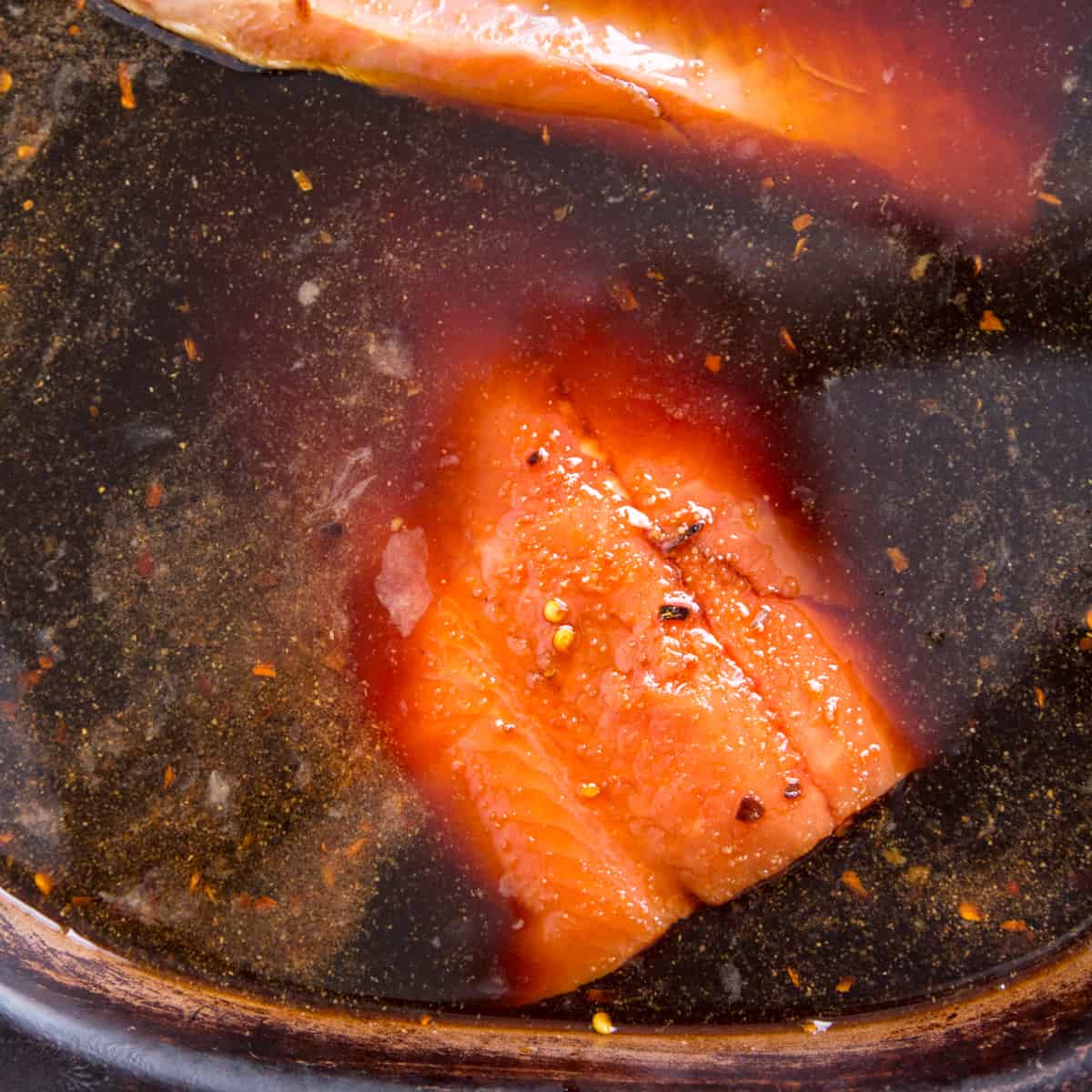 wet brine for salmon