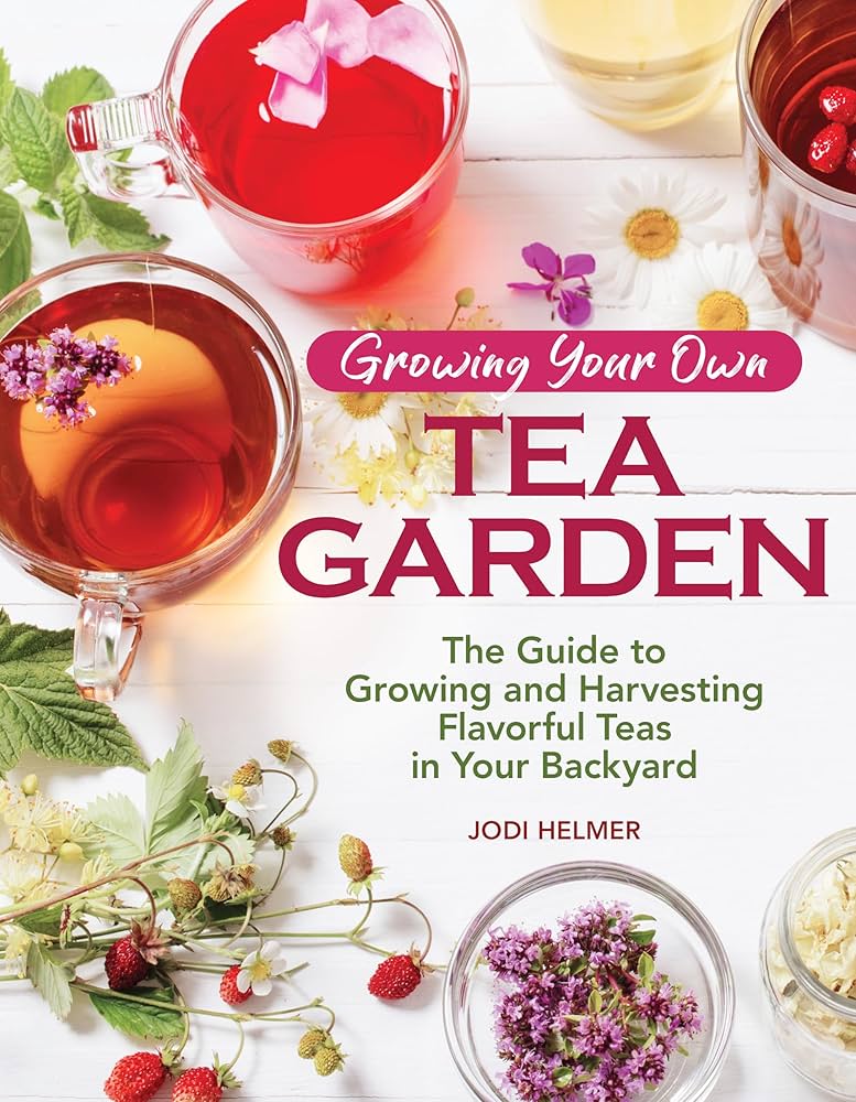 Chicken Tea Guide: Best Blends, Brewing Tips, and Health Perks