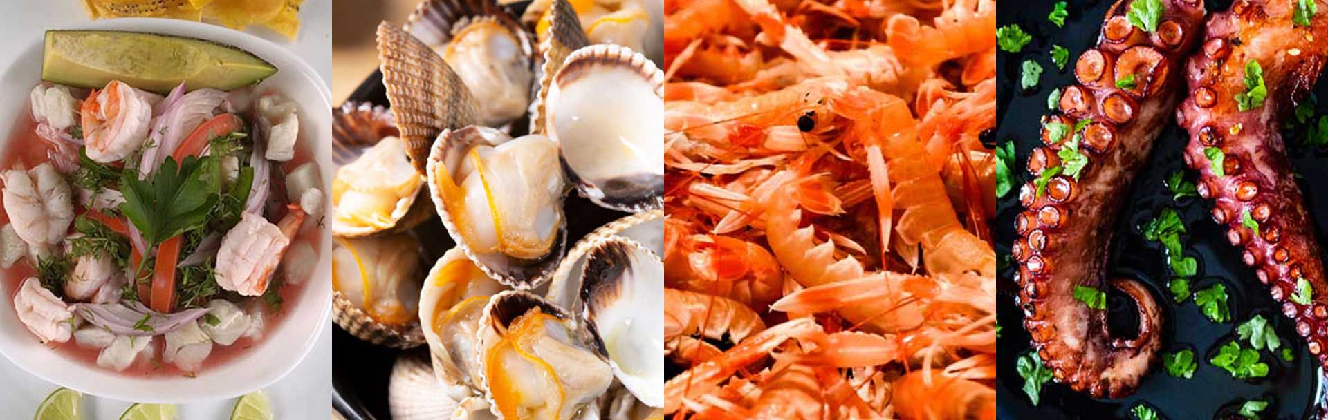 Your Ultimate Guide to Seasonal Seafood: Whats in Season Right Now?