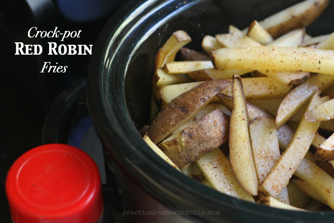 slow cooker french fries