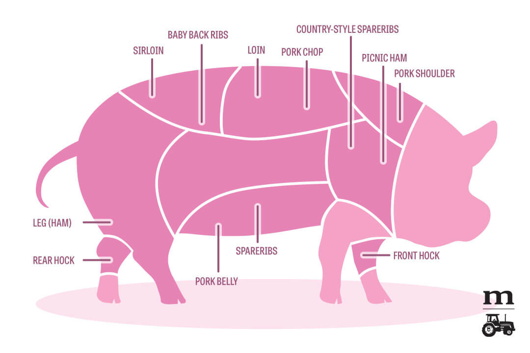 Pork Shoulder vs Tenderloin: Key Differences and Which to Choose