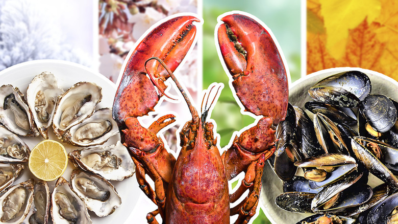 What's In Season Now? Top Seafood Picks for Peak Freshness