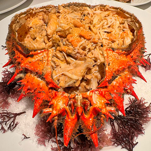 Discover Barcelona's Top Seafood Restaurants: Ultimate Guide for Food Lovers