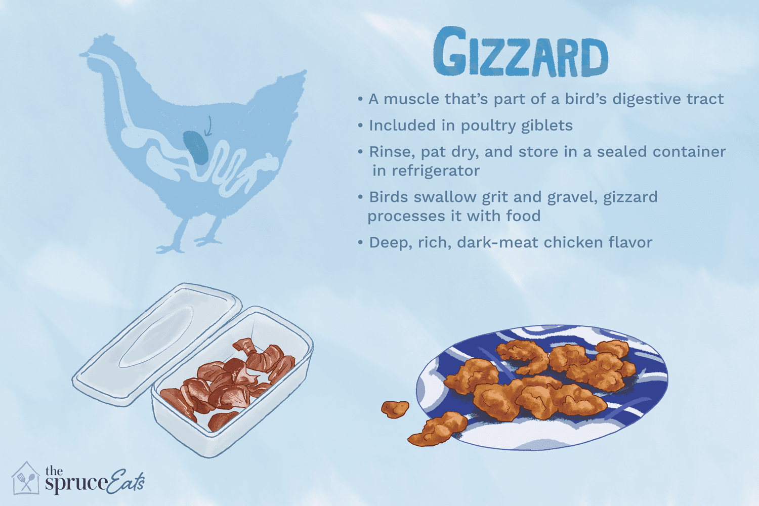 What is Chicken Gizzard Meat? A Guide to Its Health Benefits